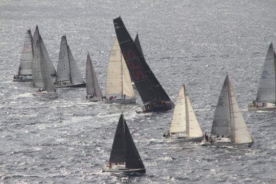 regate avec voiilers de taille differente