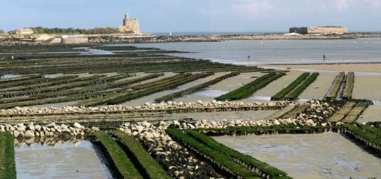 Croisière Cotentin Manche Est