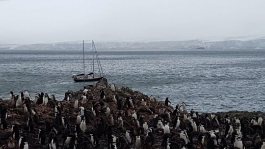 Antarctique