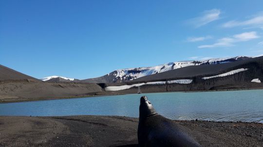 Découverte de l'Antarctique