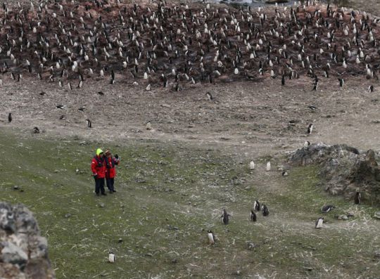 Le plaisir de poser pied à terre en Antarctique