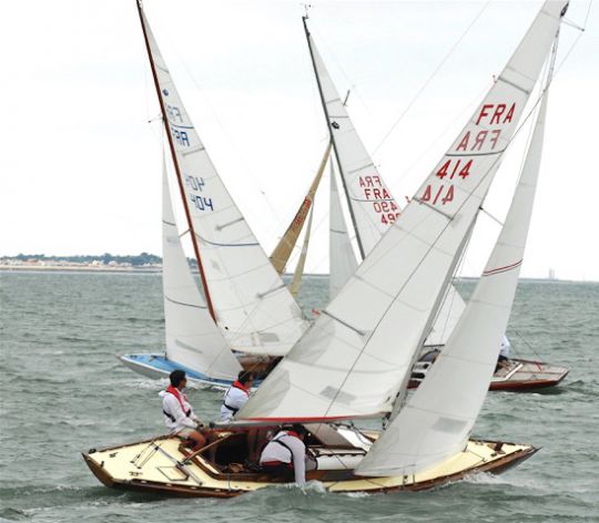 Requin en navigation © Yves SUINAT / A.F.P.R