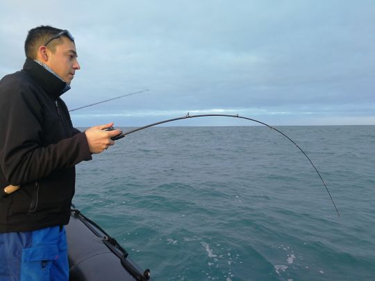 Pêche en casting verticale.