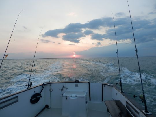 Retour au port de Saint Martin de Ré après une journée pêche - © Jérome rabin