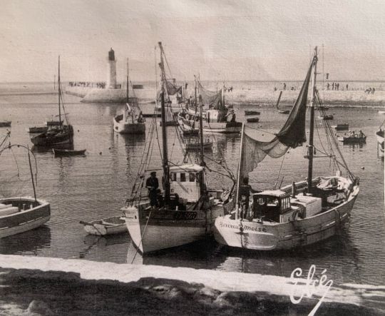 Berceau de Moïse - Crevettier à la Cotinière sur l'ile d'Oléron - © Thomas Sevère