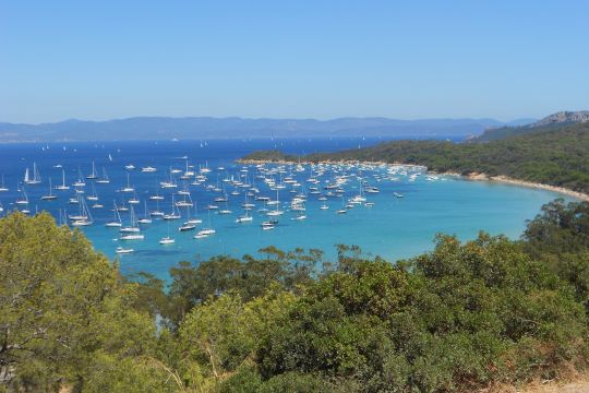 Affluence à Porquerolles