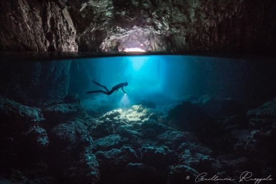 Photographie sous-marine de Guillaume Ruoppolo