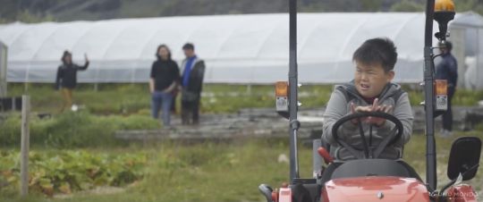 Les fraises poussent au Groenland