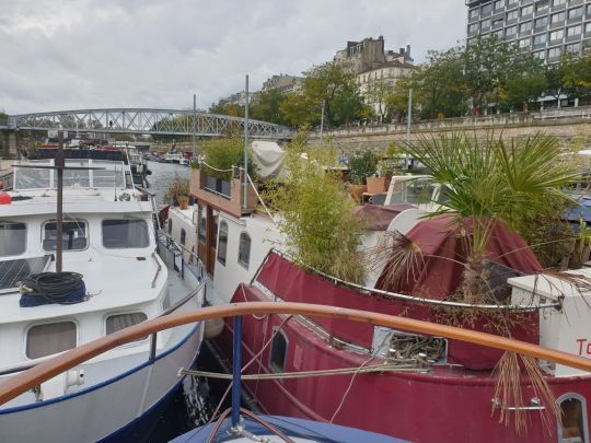 Le voisinage de Phoque, au coeur de Paris