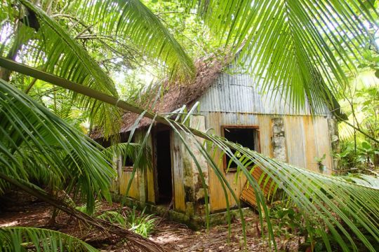 Cabane locale