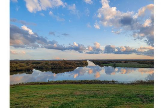 Vue sur le lac de Grand-lieu depuis la maison Guerlain