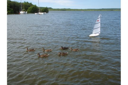 Le 18 mai, rencontres de bateaux radiocommandés proposées à plus de 1 300 personnes handicaptées sur le lac de Soustons