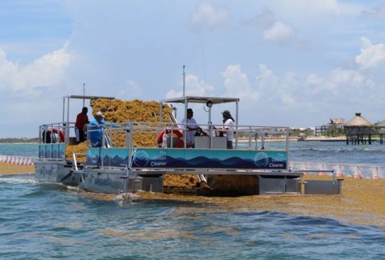 Le Sargaboat en action