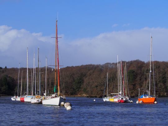 L'estuaire du Blavet est un abri prisé en amont de la rade de Lorient