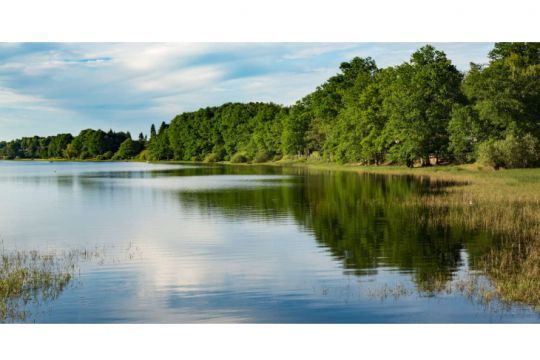 Sauvages et paisibles, les bords du réservoir 