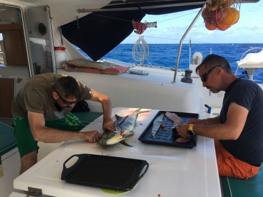 Une pêche prolifique