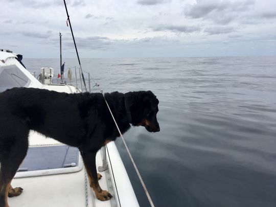 Pétole en plein Atlantique