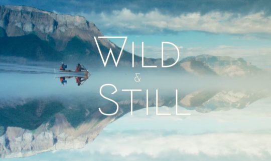 Wild and Still