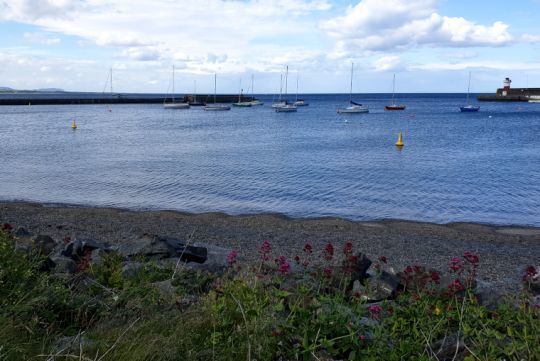 Zone de baignade dans le port de Wicklow