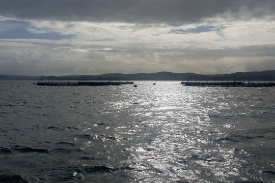 Les parcs à poissons, Gigha, Ecosse