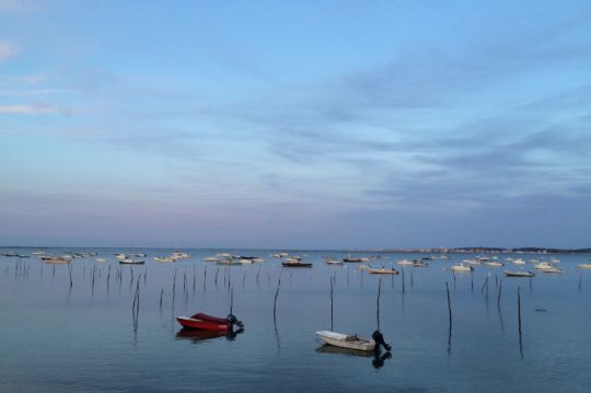 Parc naturel au Bassin d'Arcachon