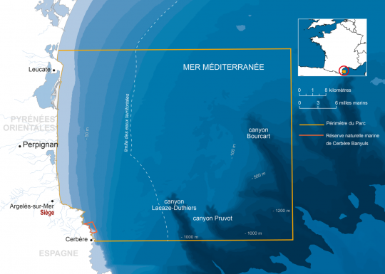 Parc naturel marin du golfe du Lion