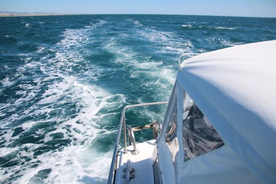 Une mer formée vent arrière pour les premières heures