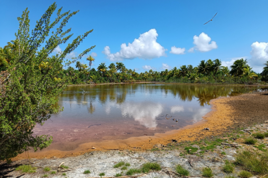  Le lac d'eau saumâtre du motu Rimatu'u