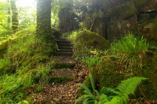 Le sentier côtier, Mull, Ecosse