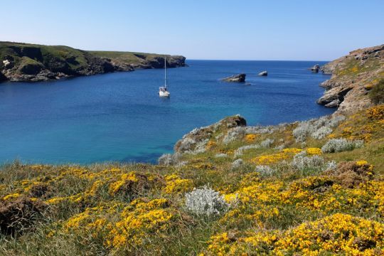 Mouillage à Belle-île, une excellente idée de sortie