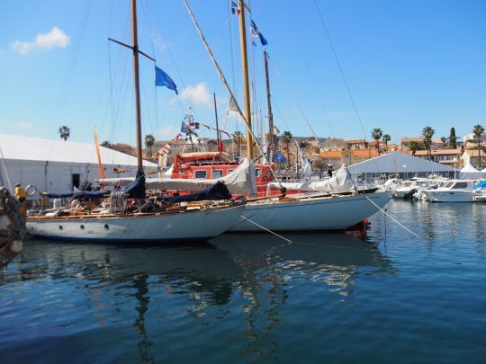 La flotte de voiliers classiques est amarrée à côté du canot de la SNSM, qui est ouvert aux visiteurs