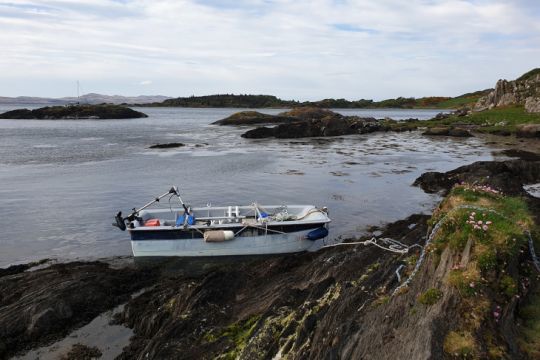 Un environnement nature pour ce smouillages près de Carsaig