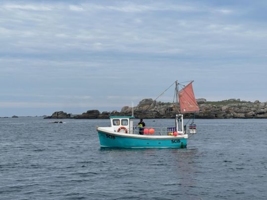 On trouve beaucoup de pêcheurs aux Scilly. C'est un très bon spot pour le lieu jaune, mais aussi le bar en raison du courant.