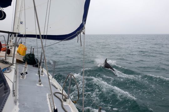 Départ des Orcades avec Arthur