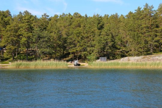 Une échelle permet d'acheminer son bateau depuis son habitation dissimulée au fond des arbres jusqu'à la mer