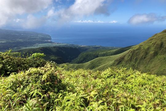 Randonnée au Mont Pelé