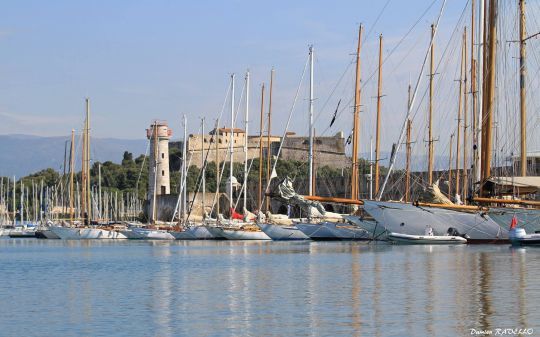 Voiles d'Antibes