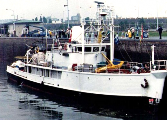 Calypso