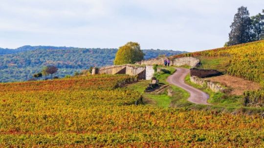 La Bourgogne © Bourgogne Tourisme