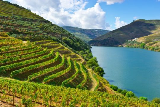 Porto et la vallée du Douro © Nirva Travel