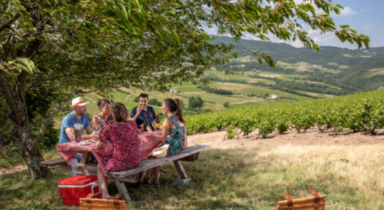 Pique-nique dans les vignes du Beaujolais © Destination Beaujolais