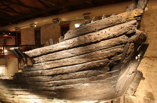 © Western Australian Museum