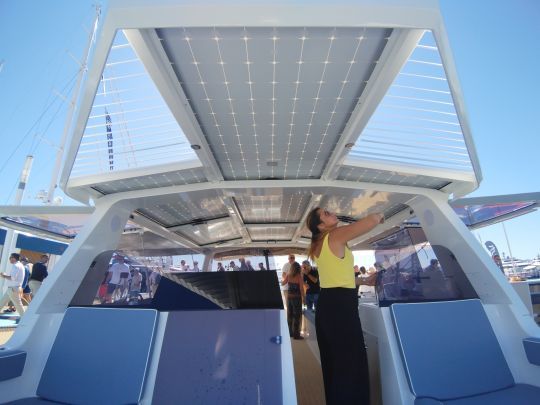 Le roof et les ailes latérales