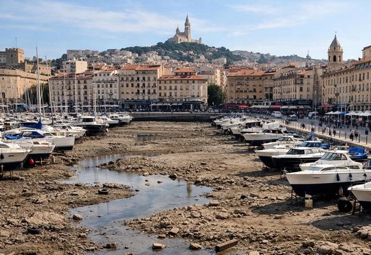 Le Vieux Port a été vidé de son eau à des fins de nettoyage