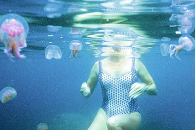 Nadar con medusas