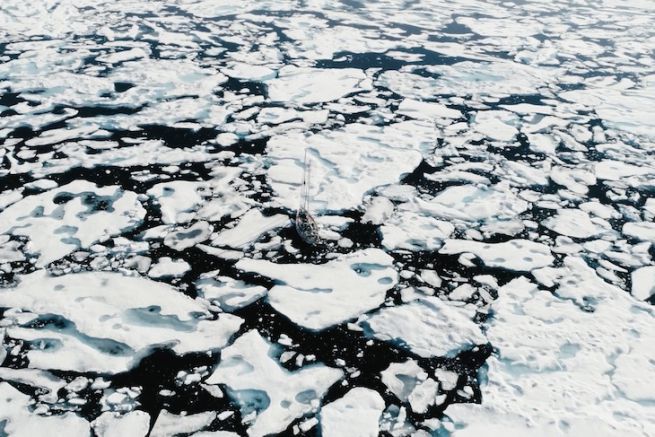 Bajo el Polo III: Una mirada a 4 meses de expedicin polar