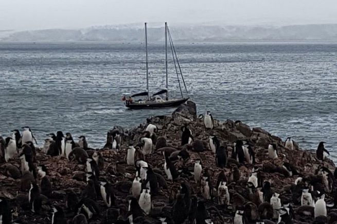Aventuras y desventuras en la Antrtida: cmo evitar abordar un velero mal preparado?