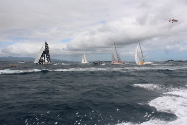 Regata, todo sobre las reglas de la vela