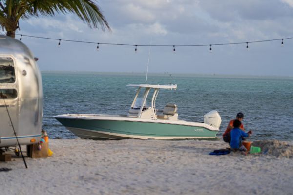 Boston Whaler 250 Dauntless, un barco de pesca familiar