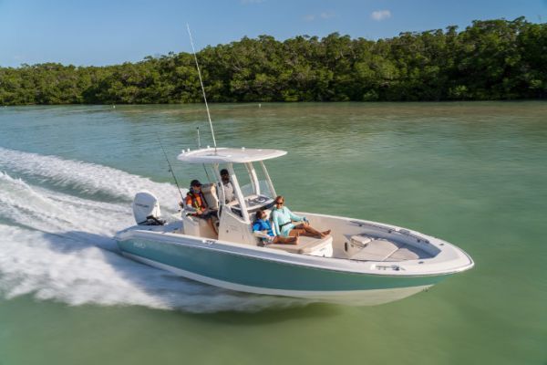 El Boston Whaler 250 Dauntless es rpido, divertido y verstil